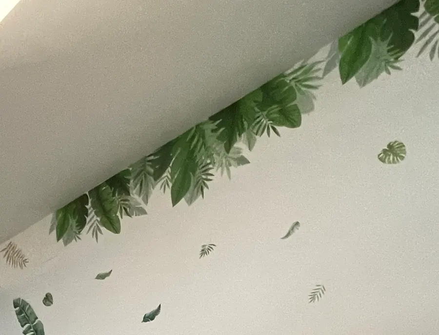 Hojas tropicales verdes pintadas en la pared de la cabina