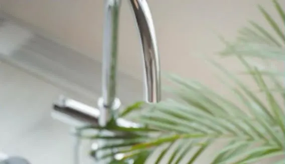 Grifo y hojas de palmera en un ambiente de cuidado de la piel